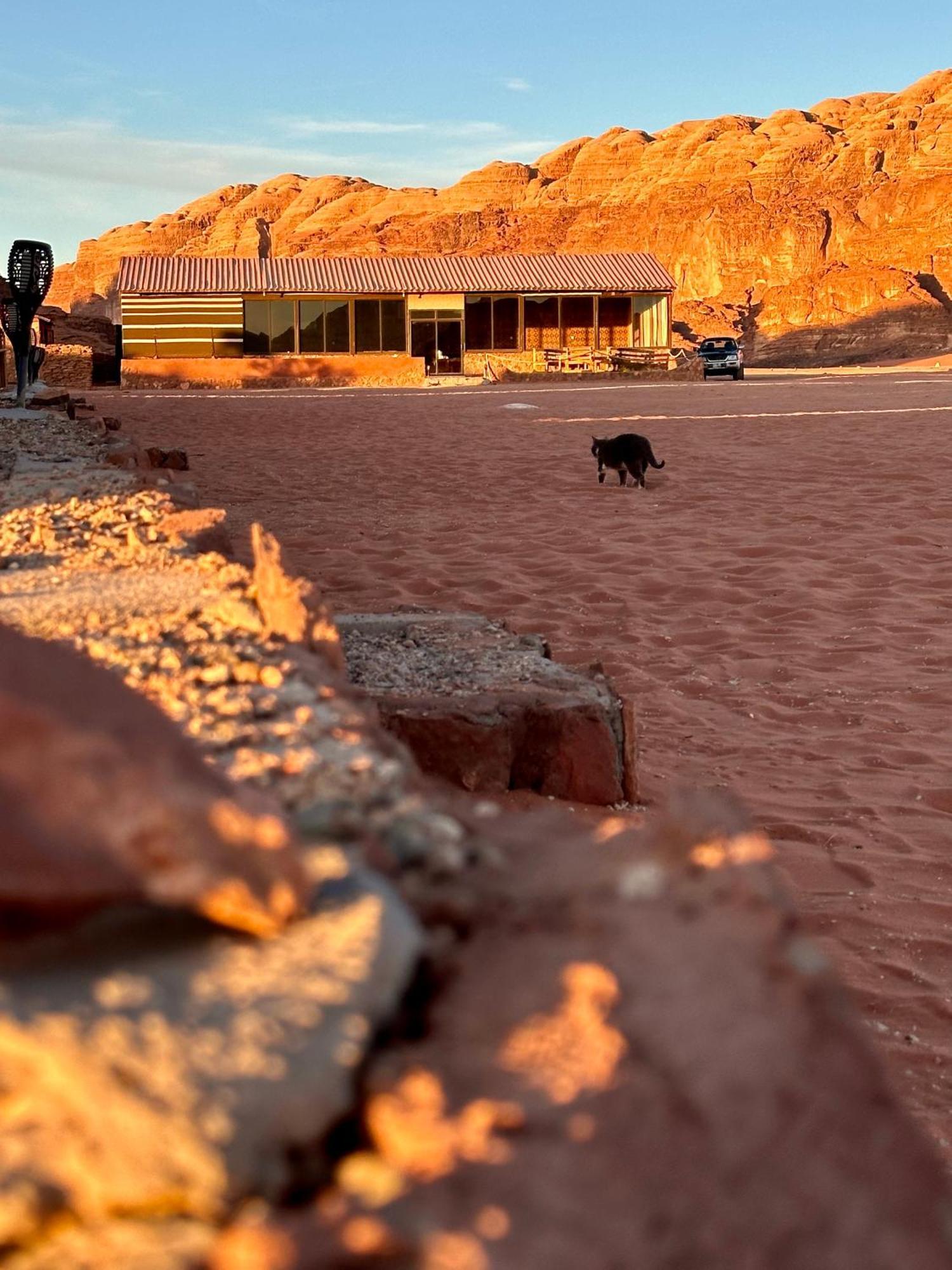 Salameh'S Bedouin Camp Ξενοδοχείο Ουάντι Ραμ Εξωτερικό φωτογραφία